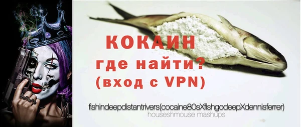 твердый Абаза