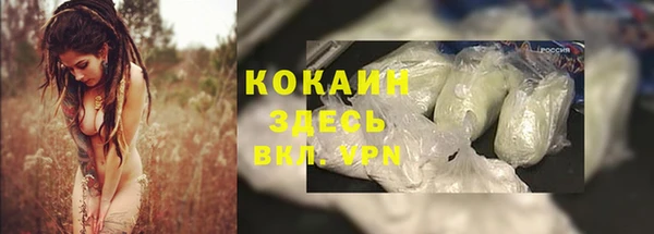 твердый Абаза