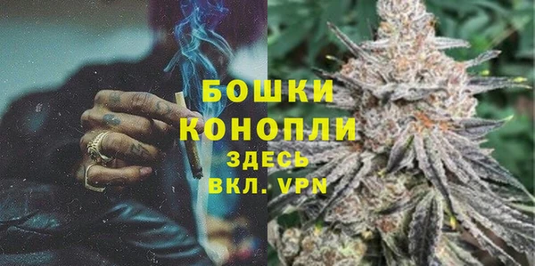 твердый Абаза