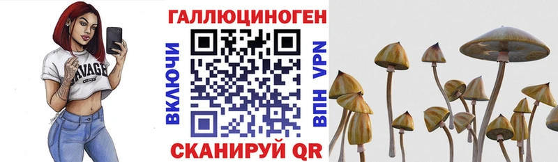 Псилоцибиновые грибы Magic Shrooms  дарнет шоп  даркнет какой сайт  Кимовск 