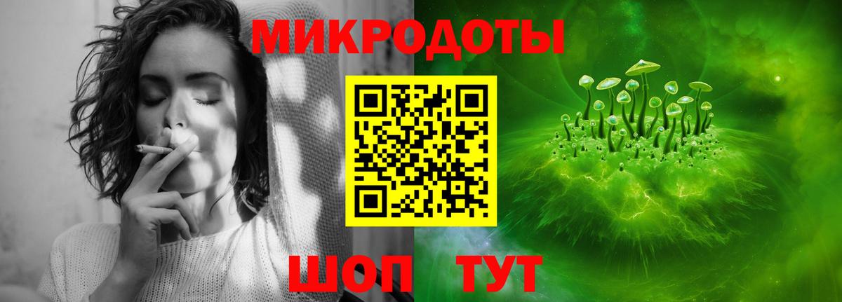 Кимовск  Псилоцибиновые грибы Psilocybine cubensis  Вход с VPN  Галлюциногенные грибы прущие грибы 